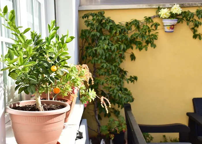 Casa Raichu - Pilgrim Guesthouse