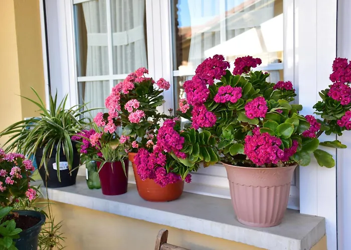 Casa Raichu - Pilgrim Guesthouse